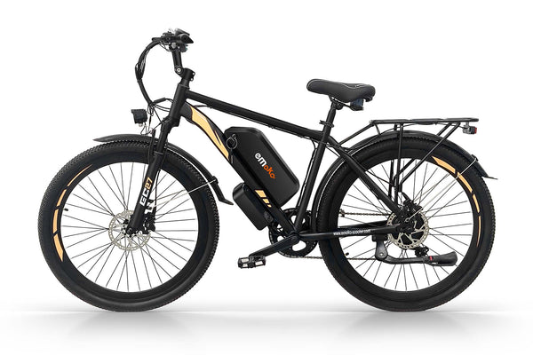 ebike dual battery