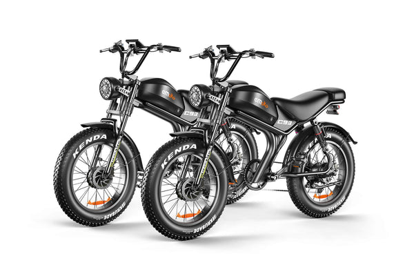dual motor ebikes