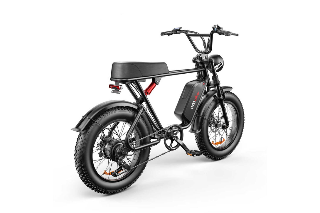 Fat Tire Electric Bike