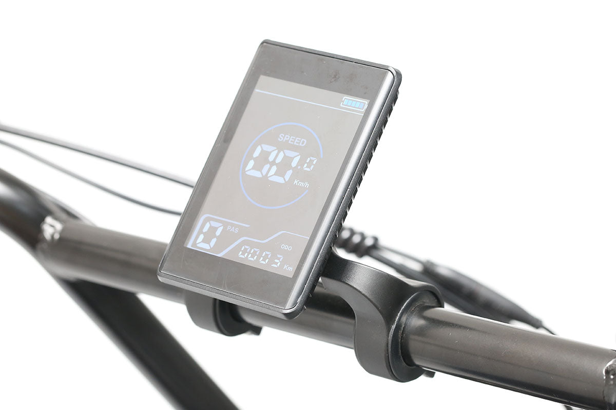 Emoko Electric Bike Display for C93 / C91(Dual Motor) – Emoko-Scooter
