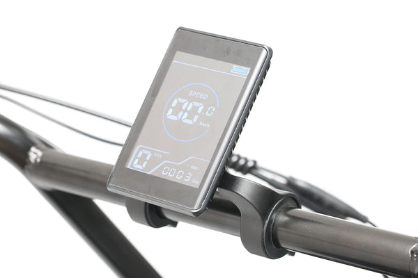 Electric Bike Display