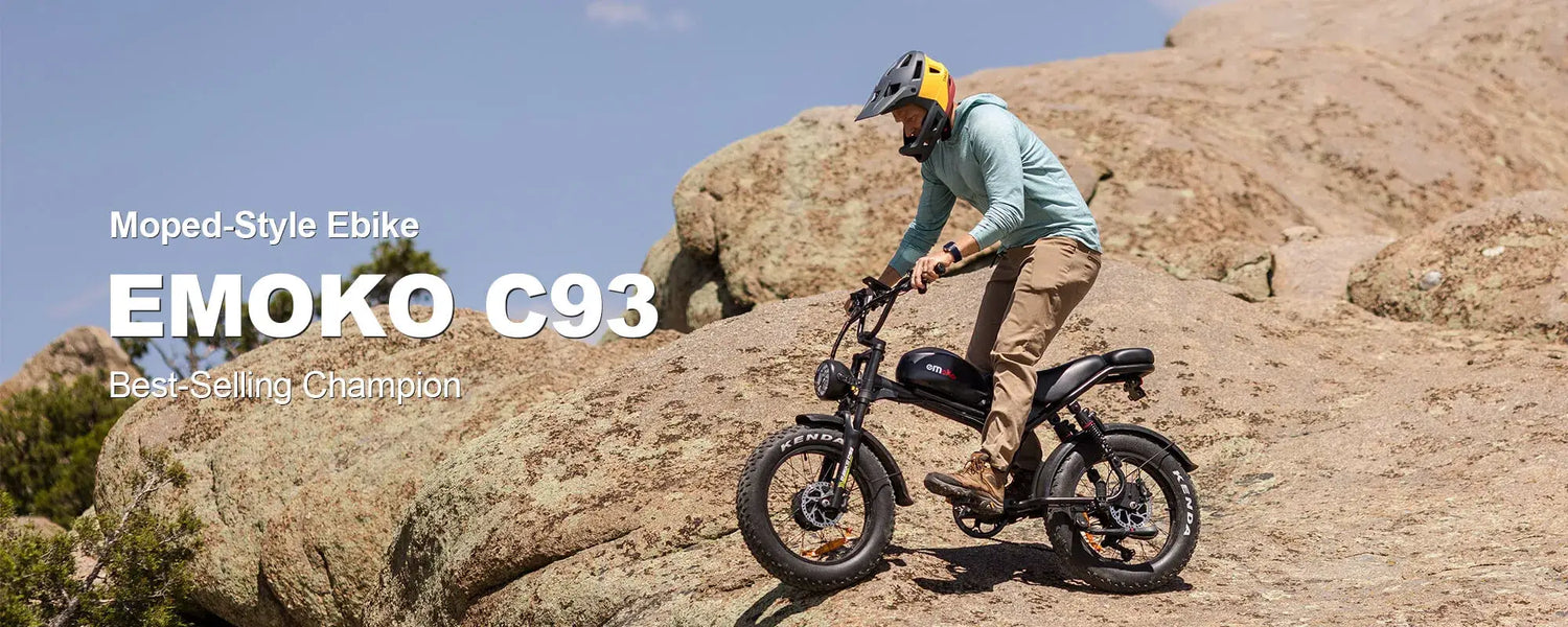 Fat Tire Electric Bike