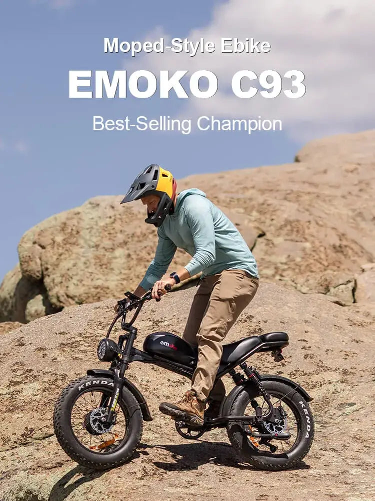 Long Range Ebike
